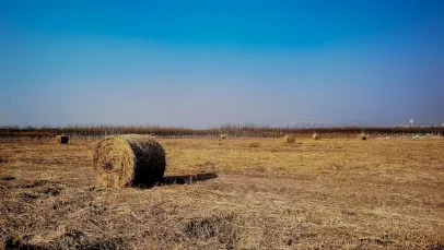 Kasino Lucky Pants Bingo Apl Mudah Alih